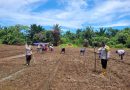 Dukung Ketahanan Pangan Nasional, Kapolsek Bonggo bersama kelompok tani Kampung Rotea bersama-sama menanam Kacang Tanah