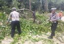 Sat lantas Polres Sarmi membantu evakuasi Pohon tumbang timpa jaringan listrik di Distrik Bonggo Kabupaten Sarmi